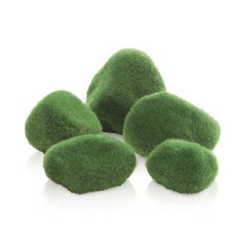 Decor marmura cu aspect de muschi Oase biOrb Moss pebbles