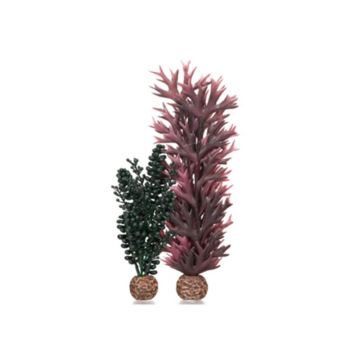 Decor Oase biOrb alge si perle verde inchis