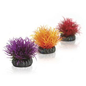 Decor Oase biOrb Aquatic color ball set 3 bucati