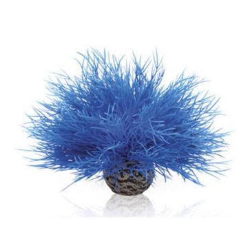 Decor Oase biOrb Aquatic sea lily albastru