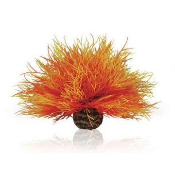 Decor Oase biOrb Aquatic sea lily rosiatic