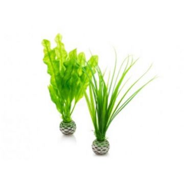 Decor Oase biOrb Easy set plante verzi S