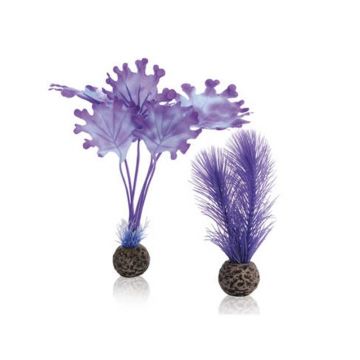 Decor Oase biOrb Kelp set mov S