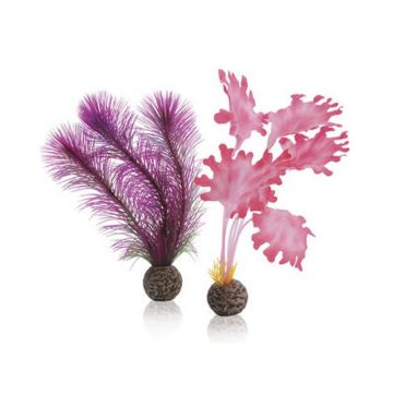 Decor Oase biOrb Kelp set roz S