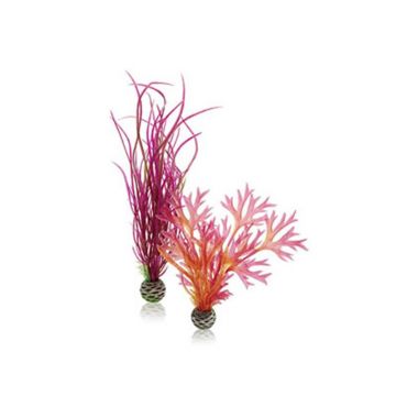 Decor Oase biOrb Plant set rosu & roz M