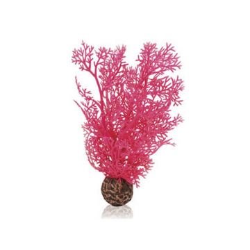 Decor Oase biOrb Sea fan M roz