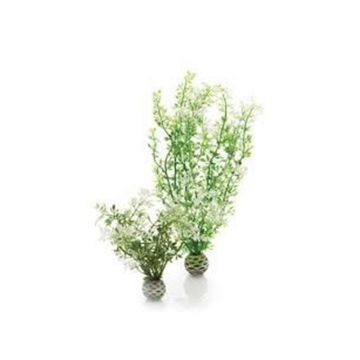 Decor planta Oase biOrb Aquatic winter flower set 2 bucati
