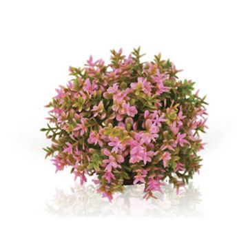 Decor planta Oase biOrb Flower ball roz