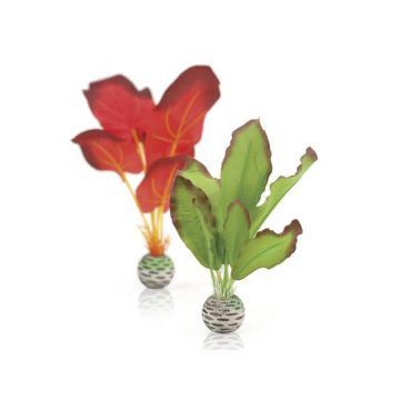 Decor plante Oase biOrb verde&red S