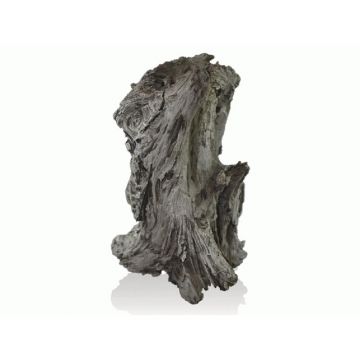 Decor roca Oase biOrb AIR Rockwood trunk