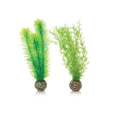 Decor set plante verzi Oase biOrb Feather fern S 2 bucati