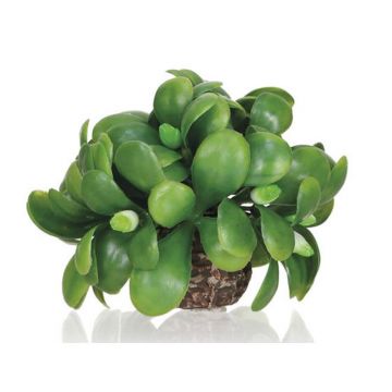 Decor vasc OAse biOrb mistletoe ball