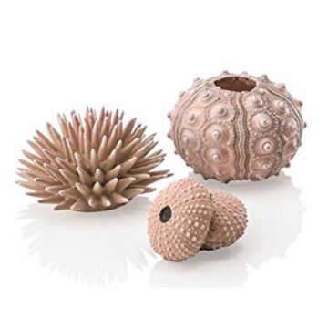 Set 3 arici de mare Oase biOrb Seeigel natural