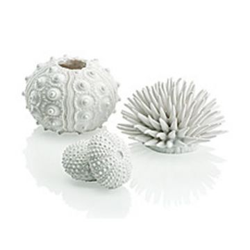 Set 3 arici de mare Oase biOrb Seeigel Set alb