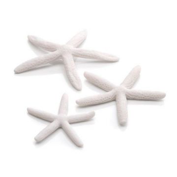 Set 3 stele de mare Oase biOrb Starfish albe