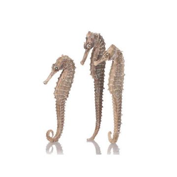 Set caluti de mare Oase biOrb seahorse natural