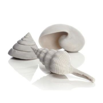 Set de 3 cochilii Oase biOrb Sea albe