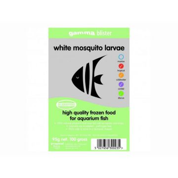 White Mosquito chocolate form