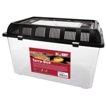 Cutie de transport Hobby Terra Box 4