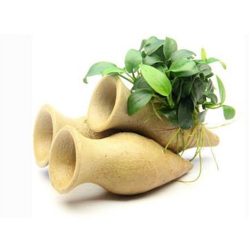 Dennerle decor Anubias Bonsai pe Shrimp Amphora