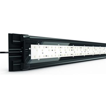 HELIA LUX LED SPECTRUM 150cm 60W JUWEL