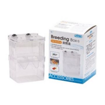 Maternitate Ista - S