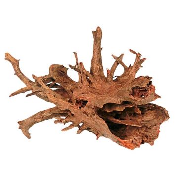 Radacina Corbo Wood M 40-60cm