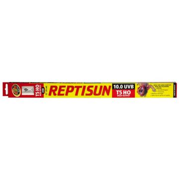Tub neon UVB Zoo Med ReptiSun 10.0 T5HO UVB Lamp (15W)