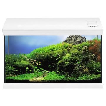 Acvariu complet EHEIM aquaclass 66 white  61x31x35 cm