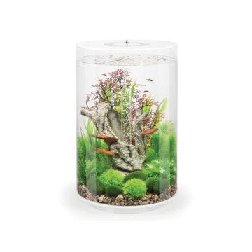 Acvariu Oase biOrb TUBE 30 MCR alb