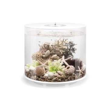 Acvariu Oase biOrb TUBE 35 LED alb  41x36.9 cm