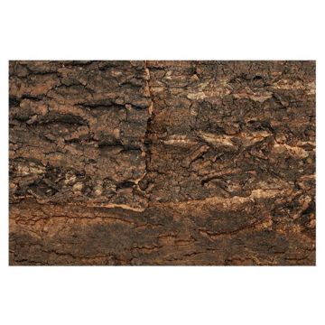 Background natural Repti Planet cork natural 58 5x56x2cm