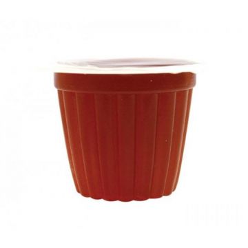 Capsula hrana reptile Komodo Jelly Pots Brown Sugar