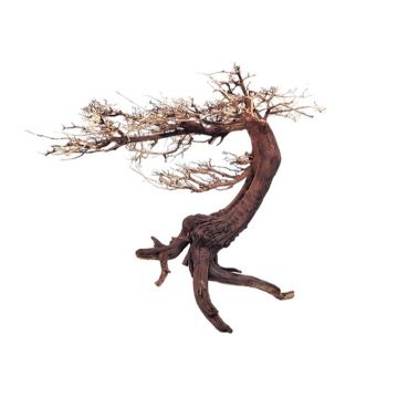 Decor acvariu WIO Bonsai Arboretum  XL