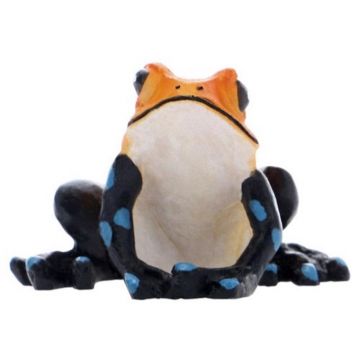 Decor Hobby Broasca 2