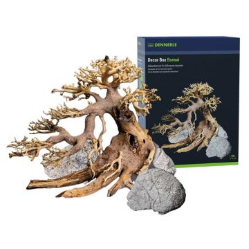 Decor lemn si piatra naturala Bonsai Box Dennerle