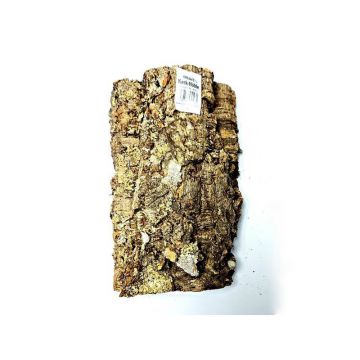 Decor pluta naturala Large