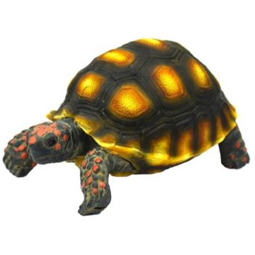 Decor testoasa Hobby Turtle 1