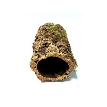 Decor tunel pluta naturala XSmall