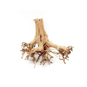 Lemn Aq귬o Etosha-Tree S