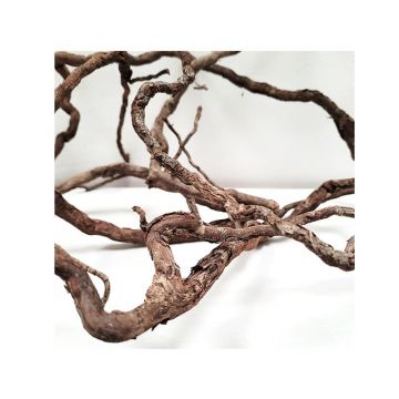 Lemn WIO Elder mix 250g