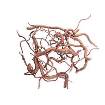 Lemn WIO Twisted mix 80g