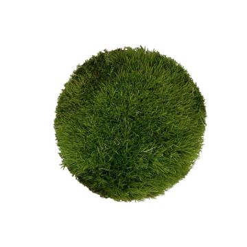 Muschi WIO Cushion "Leucobryum glaucum"