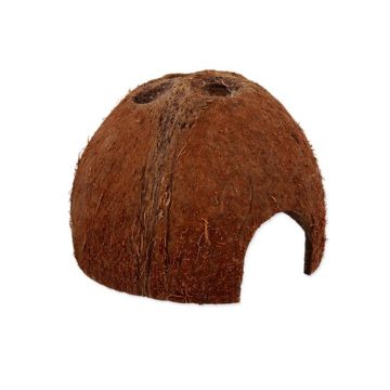 Nuca cocos Repti Planet Coco Shell L