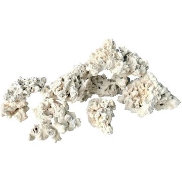 Piatra naturala uscata de recif MarcoRocks 1kg