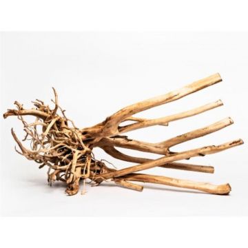 Radacina Aq귬o Wood Stumps 0.6-1.5 m