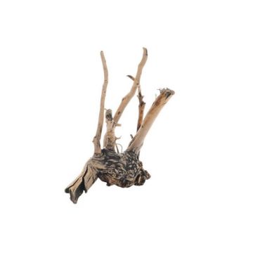 Radacina Fingerwood Shadow S