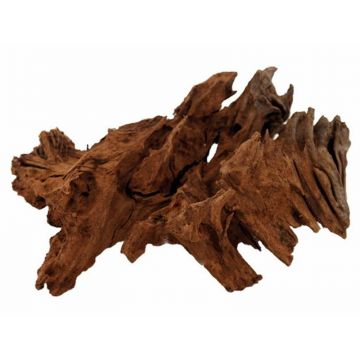 Radacina Repti Planet Root Driftwood L 35-55cm