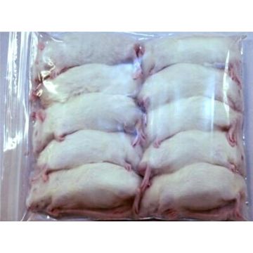 Soareci congelati mari 10 buc