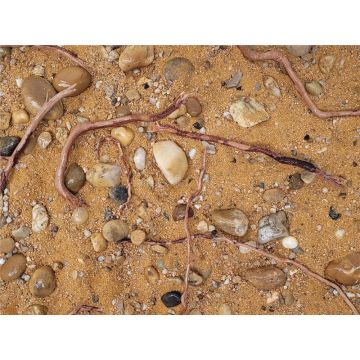 Substrat decorativ acvariu sau terariu WIO Mere 5 Kg